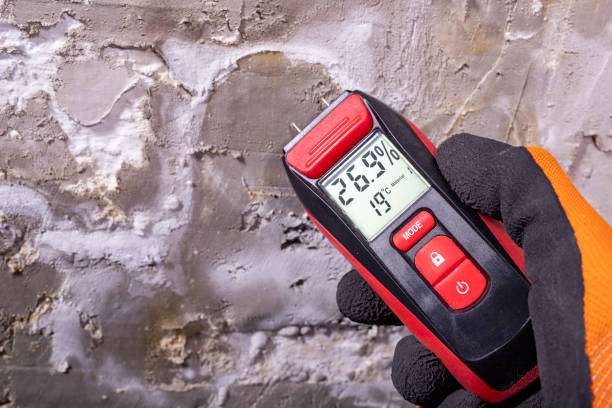 Best Mold Remediation for Specific Building Types in Awendaw, SC